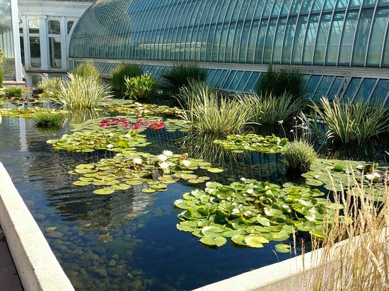 Como Park Zoo Conservatory